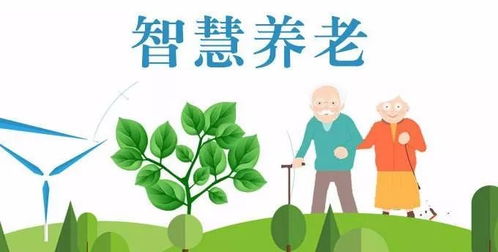 芜湖居家养老服务将迈上新台阶, 15分钟养老服务圈 基本形成